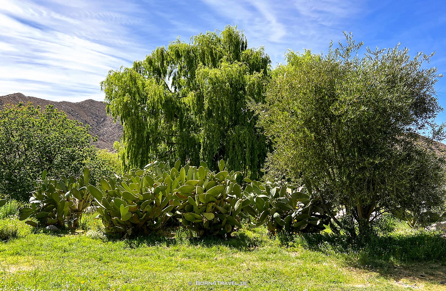 Finca Santana,Cachi,Argentina,born4travel.de Finca Santana,Cachi,Argentina,born4travel.de
