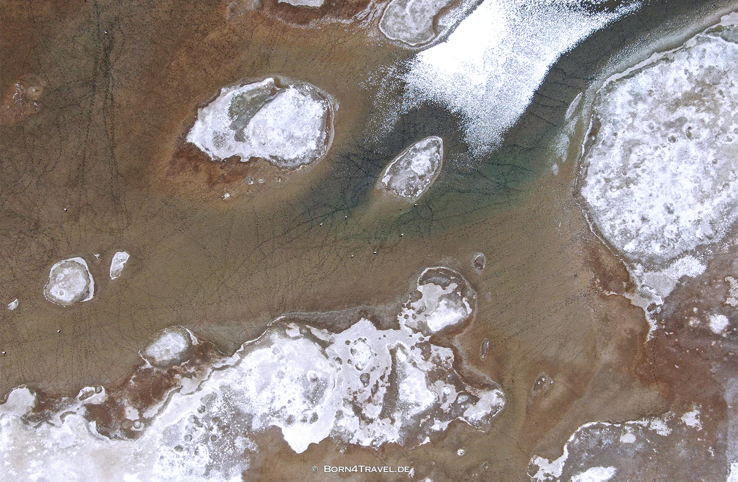 Laguna Blanca near El Peñon,Argentinien2023,born4travel.de