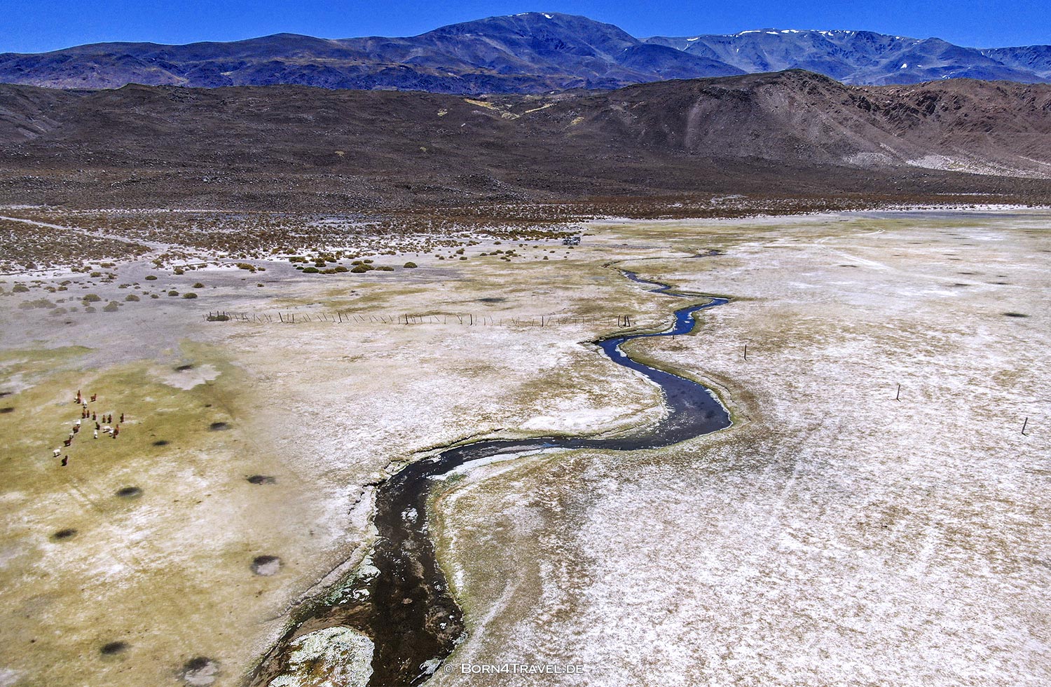 Laguna Blanca near El Peñon,Argentinien2023,born4travel.de