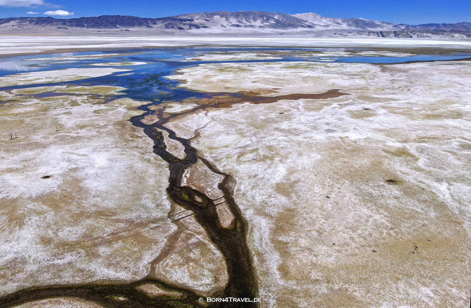 Laguna Blanca near El Peñon,Argentinien2023,born4travel.de