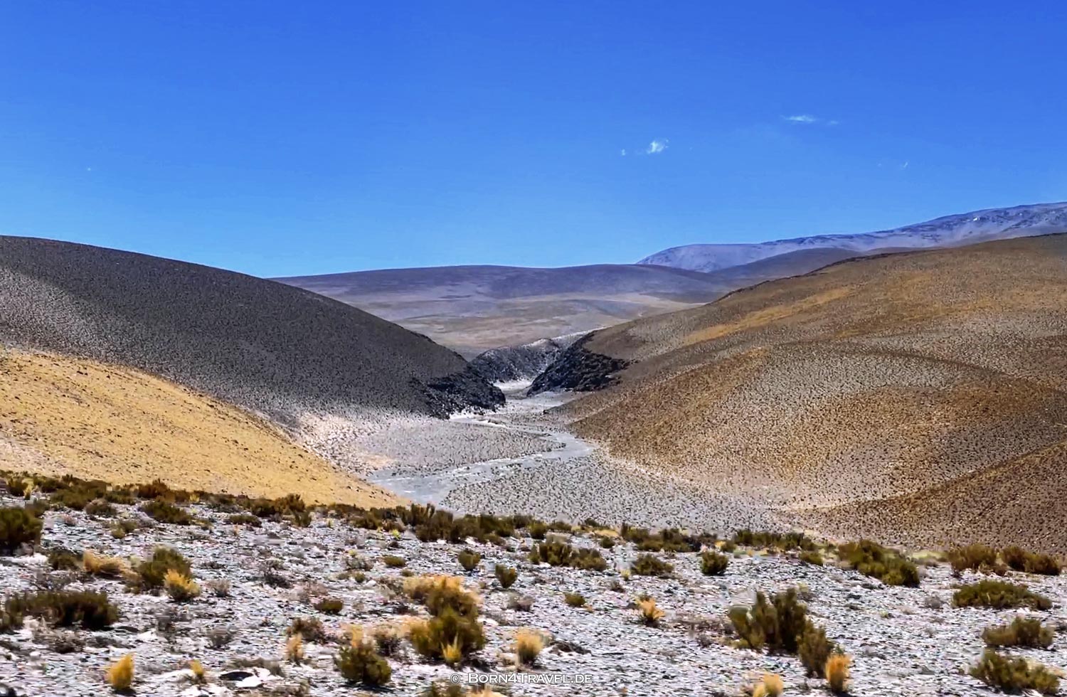 Ruta 43 nach El Peñon,Argentinien2023,born4travel.de