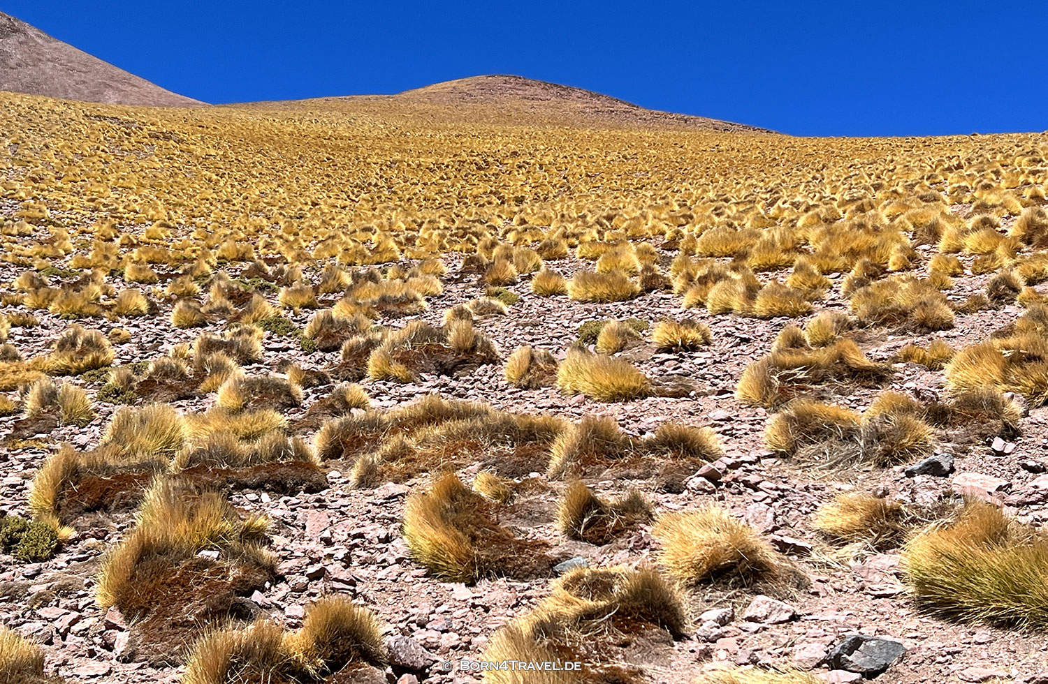 Vulcan Cerro Galán, El Peñon,Argentinien2023,born4travel.de