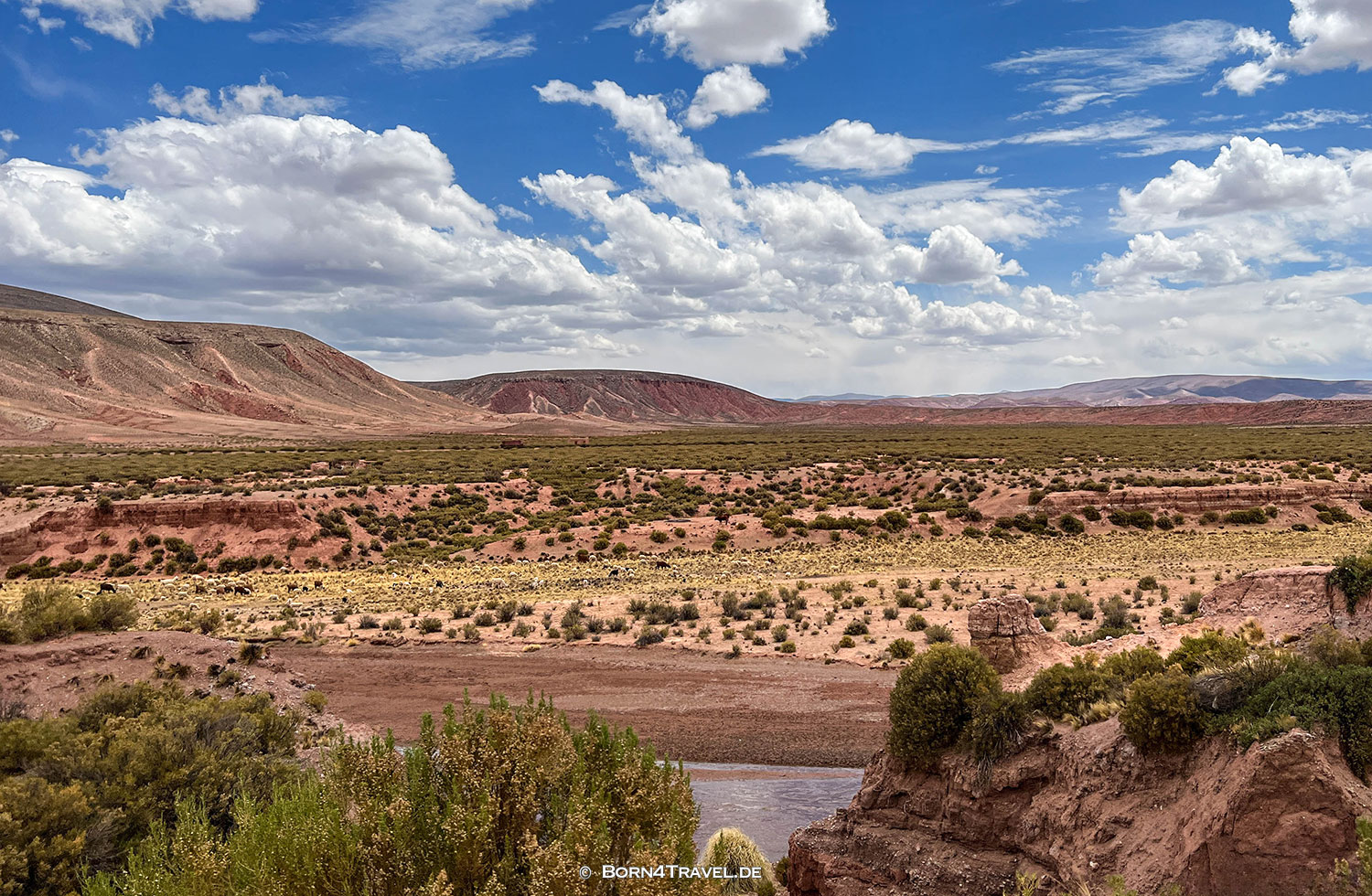 Fahrt nach Tilcara,Argentina,born4travel.de Fahrt nach Tilcara,Argentina,born4travel.de
