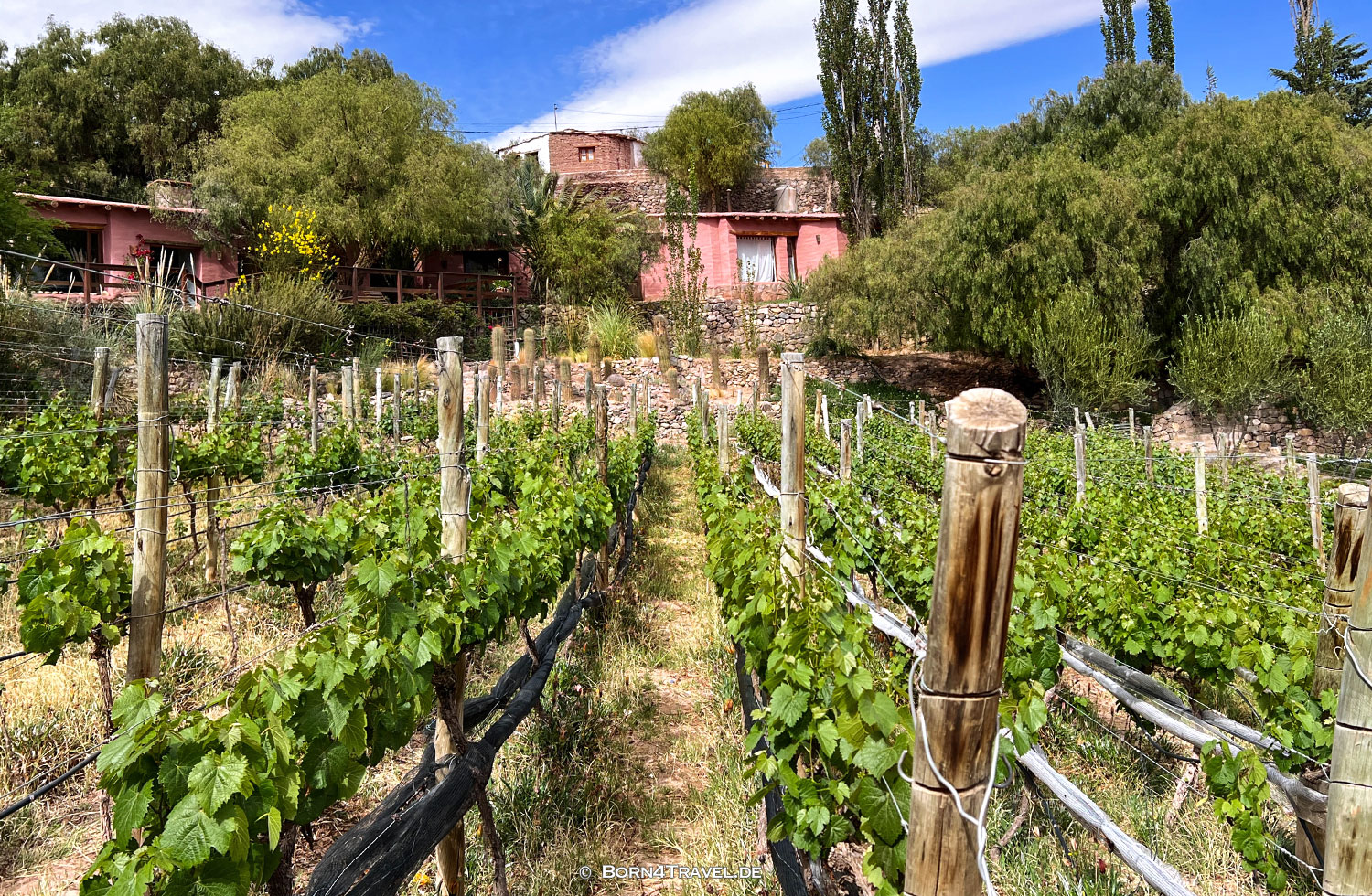 Villa de Cielo,Tilcara,Argentinien,born4travel.de Villa de Cielo,Tilcara,Argentinien,born4travel.de