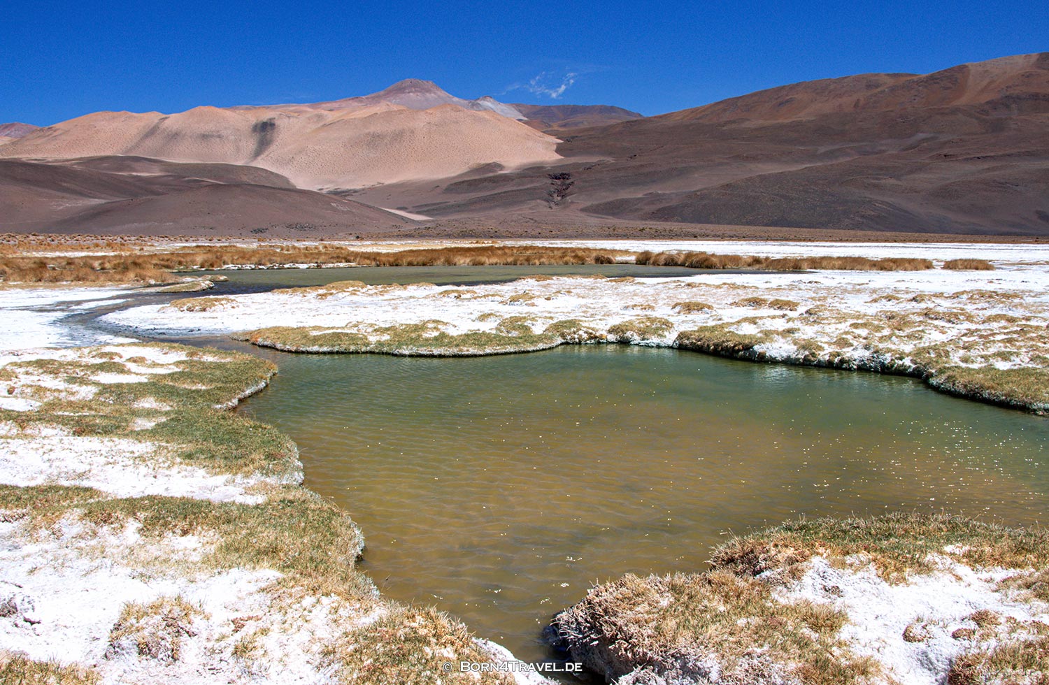 Campo de Ojos,Catamarca, Argentinien2023,born4travel.de