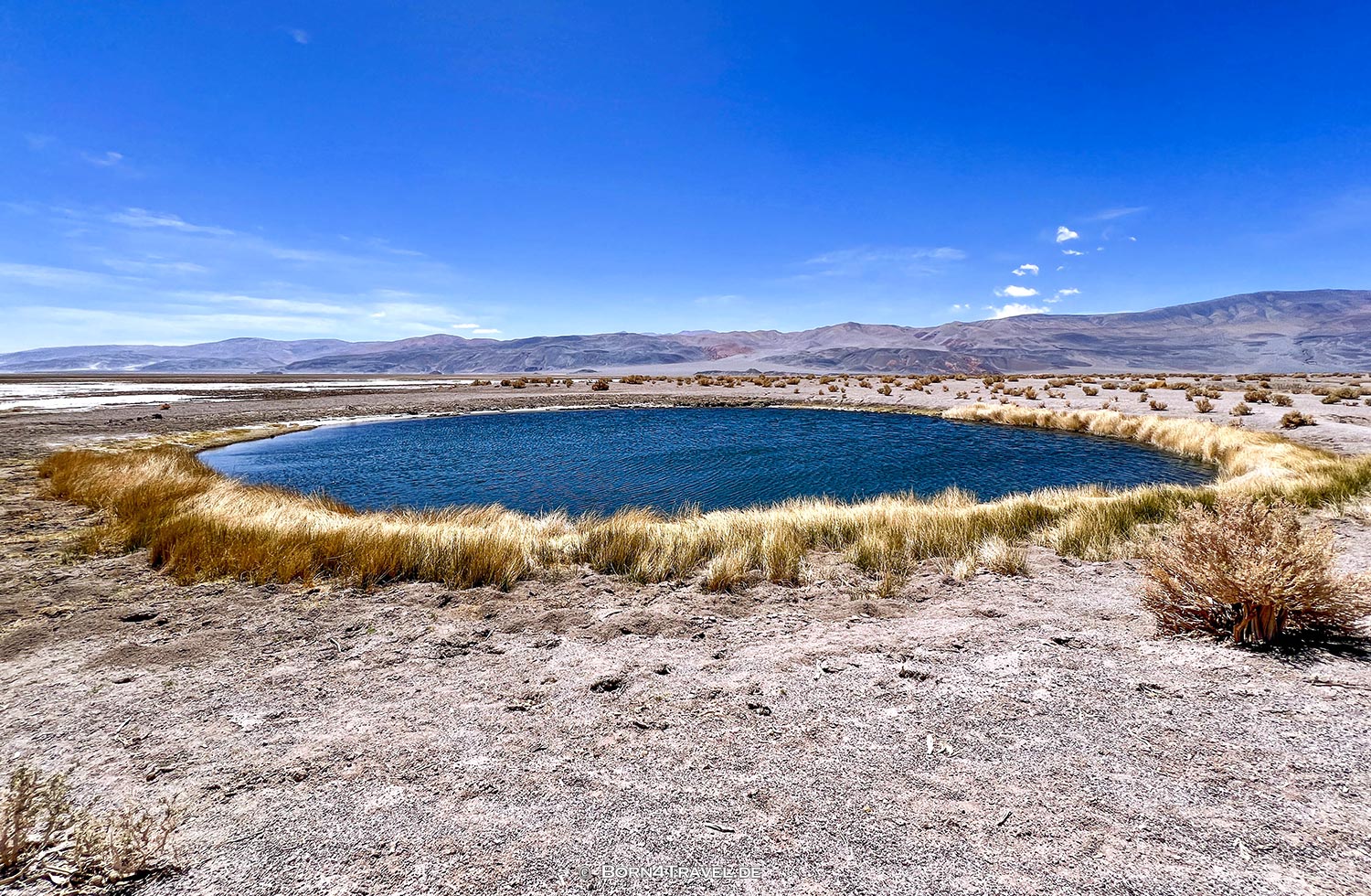 Campo de Ojos,Catamarca, Argentinien2023,born4travel.de