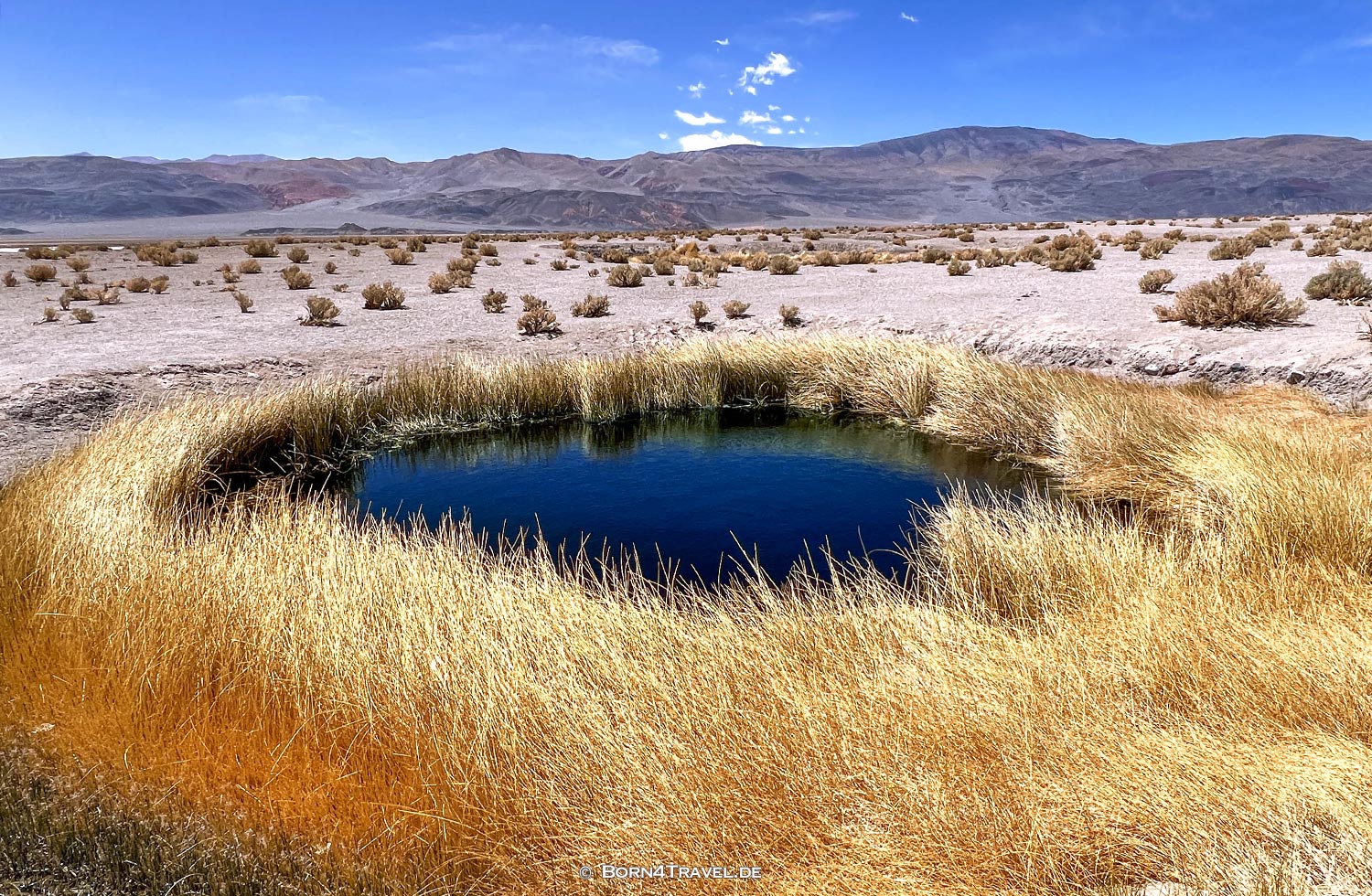 Campo de Ojos,Catamarca, Argentinien2023,born4travel.de