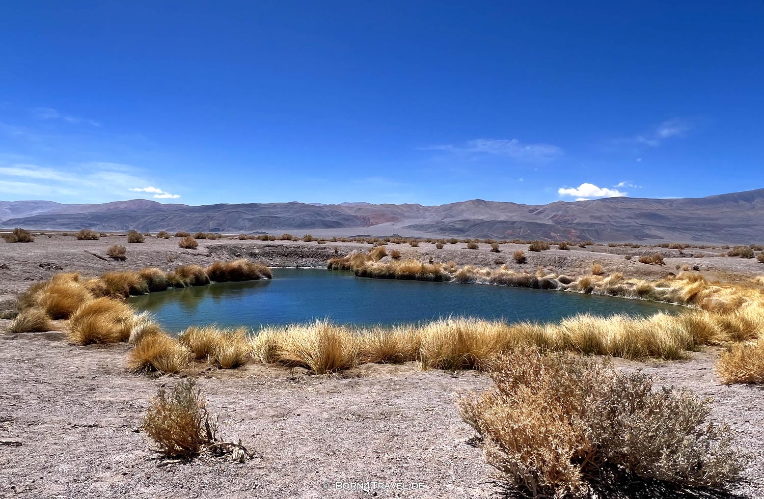 Campo de Ojos,Catamarca, Argentinien2023,born4travel.de