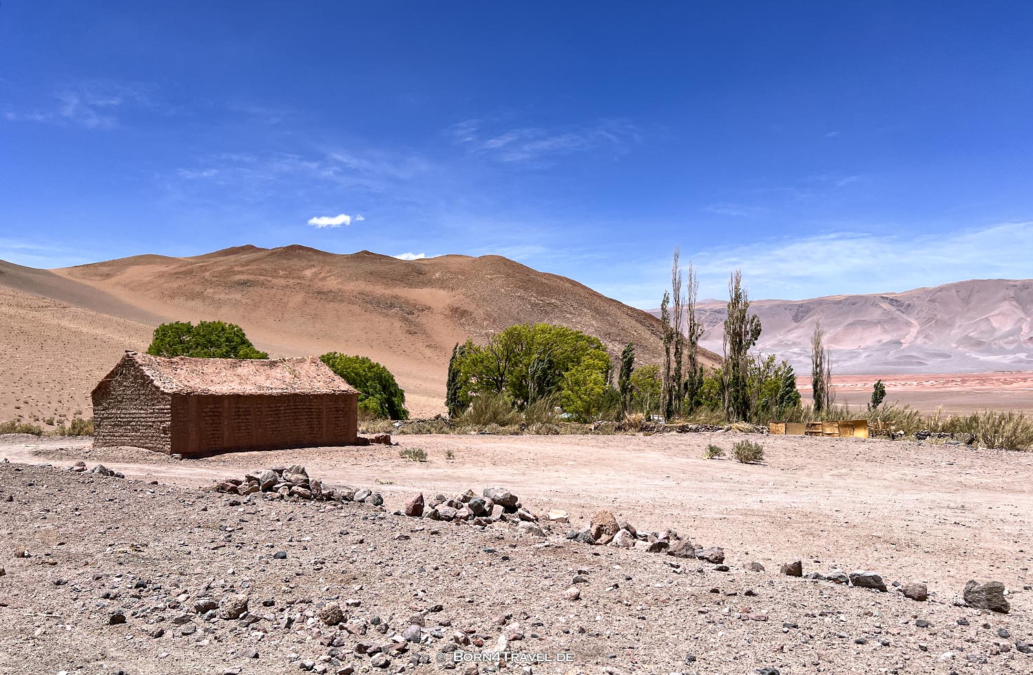 Antofallita,Catamarca, Argentinien2023,born4travel.de
