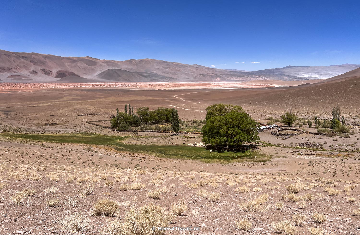 Antofallita,Catamarca, Argentinien2023,born4travel.de