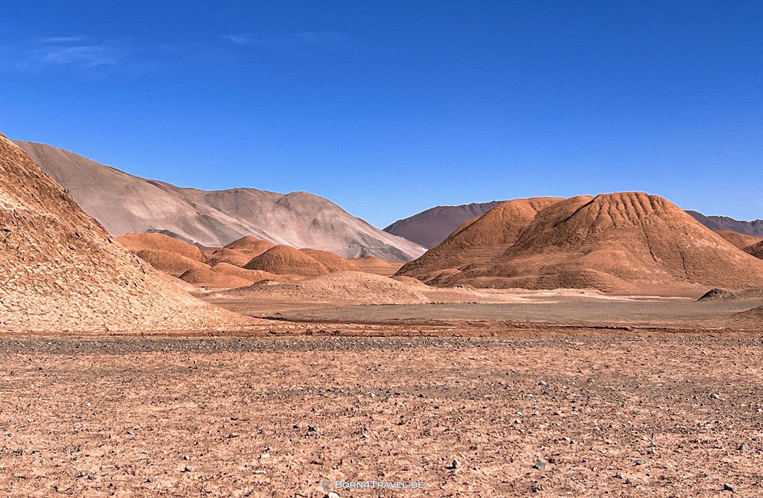  Tolar Grande,Salta, Argentinien2023,born4travel.de