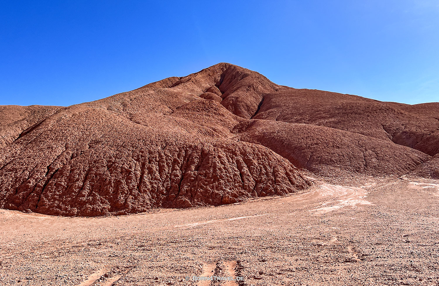  Tolar Grande,Salta, Argentinien2023,born4travel.de