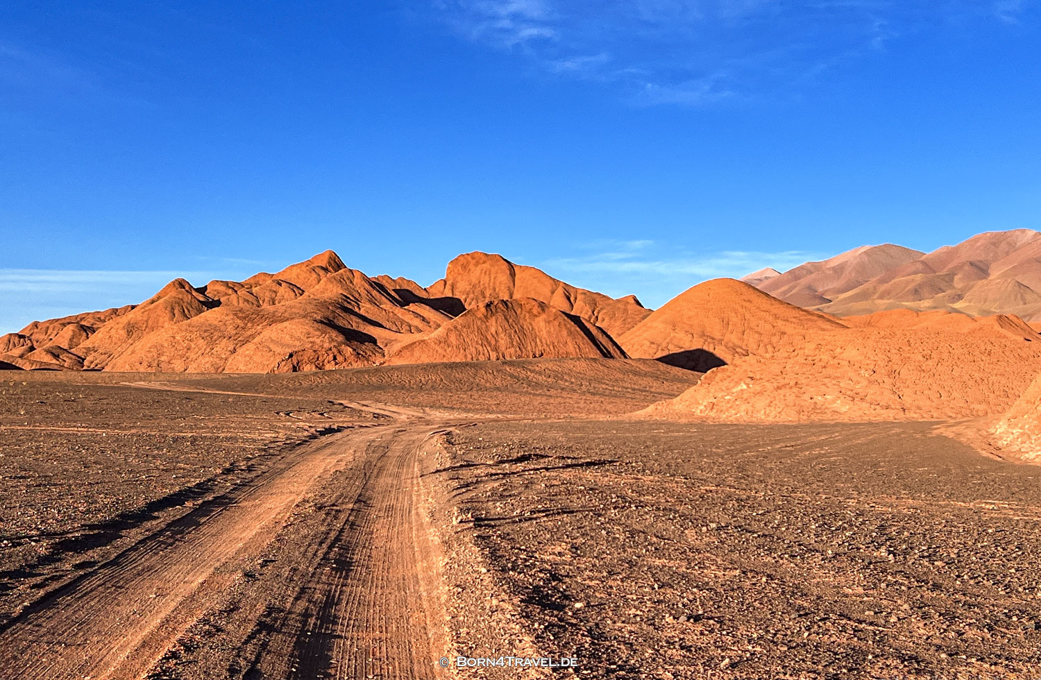  Tolar Grande,Salta, Argentinien2023,born4travel.de