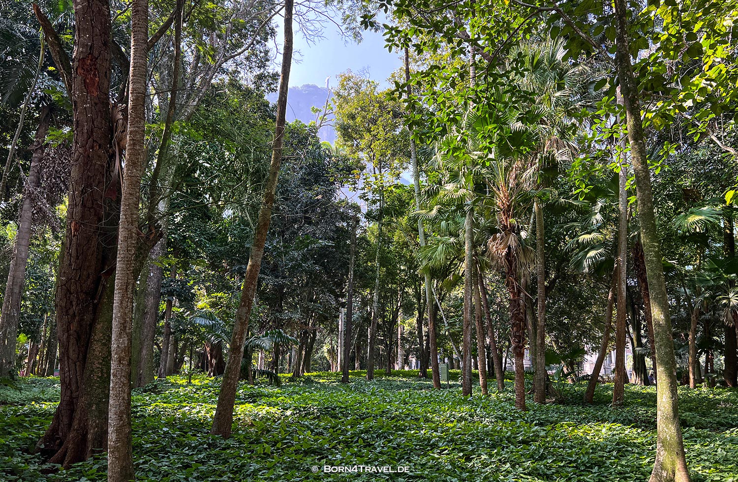 Palácio - Parque Lage,Rio de Janeiro,Brasilien,born4travel.de