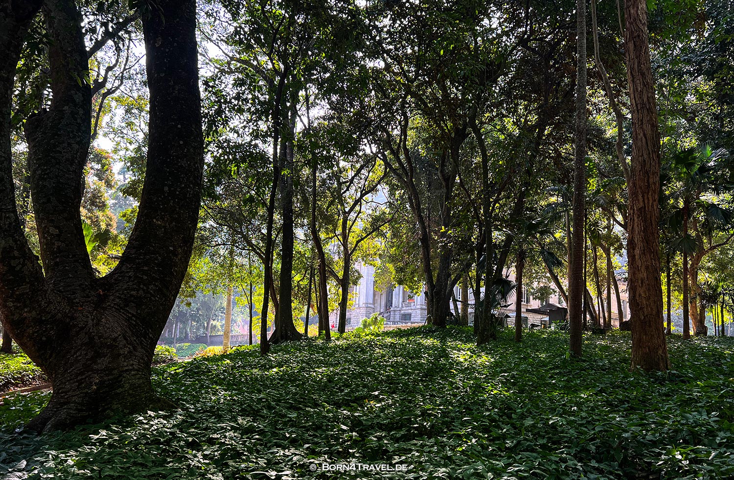 Palácio - Parque Lage,Rio de Janeiro,Brasilien,born4travel.de