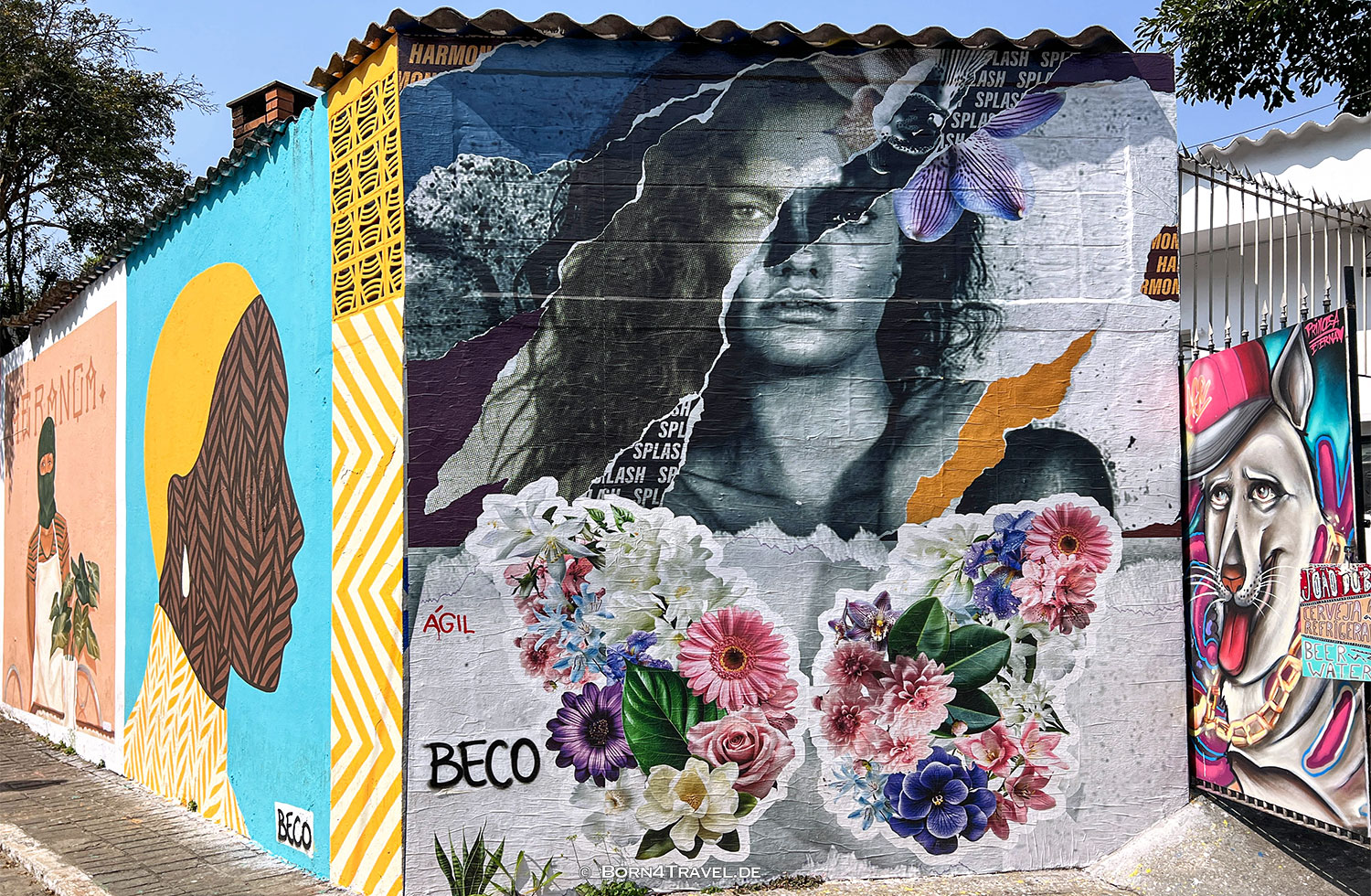 Beco do Batman,São Paulo,Brasilien 2024,born4travel.de Beco do Batman,São Paulo,Brasilien 2024,born4travel.de