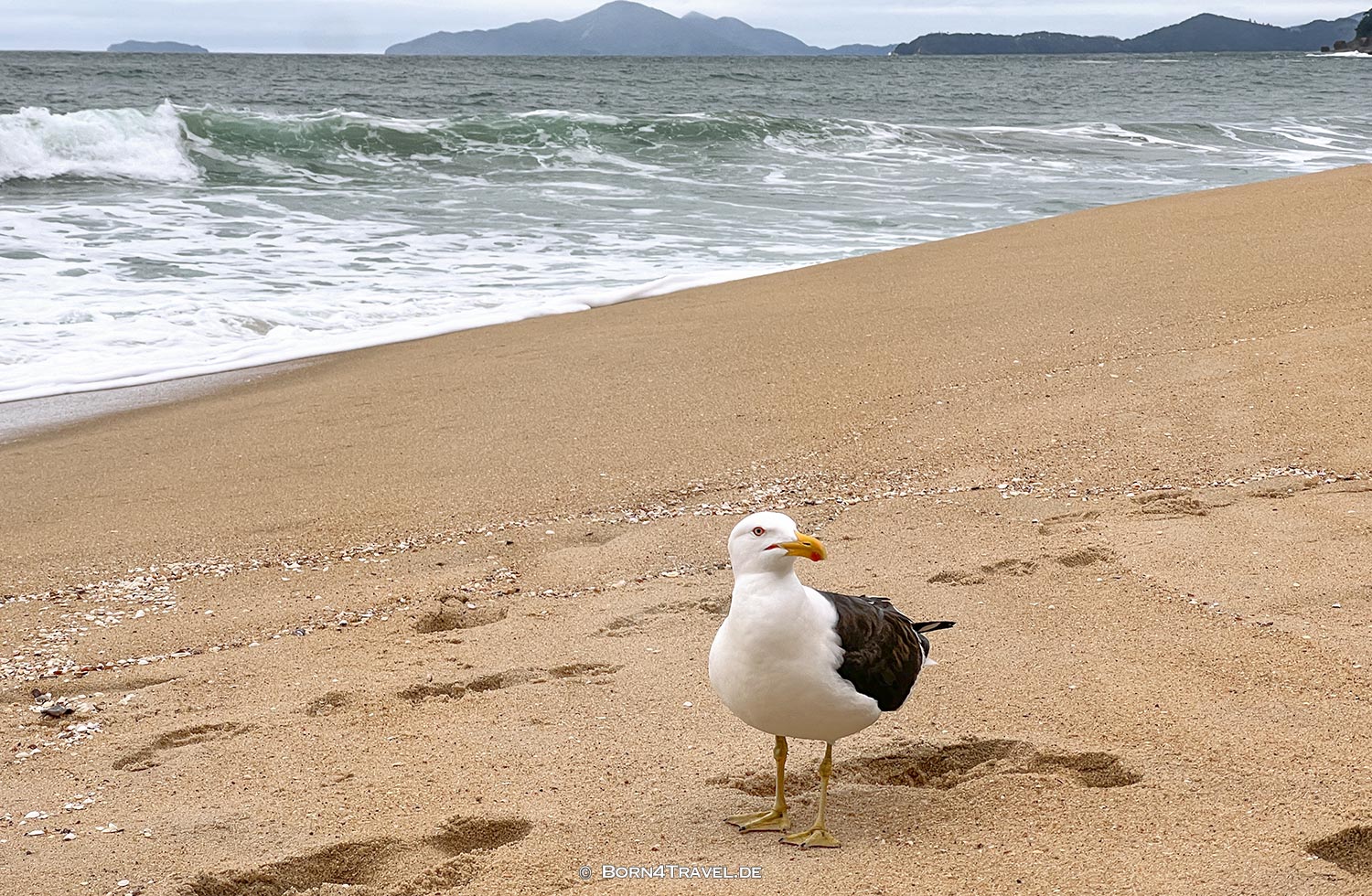 Praia do Prumirim,Ubatuba,Brasilien2024,born4travel.de