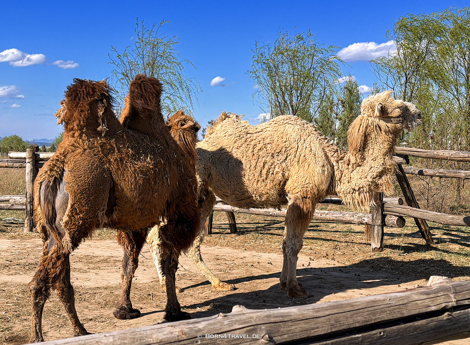Rote Steine in Tulin,Datong,China2026,born4travel.de