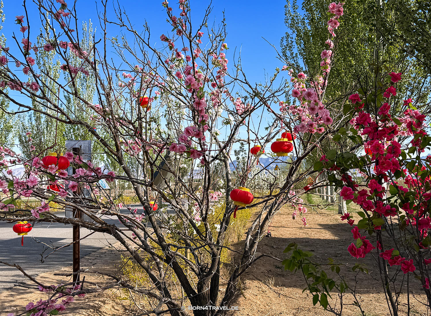 Rote Steine in Tulin,Datong,China2026,born4travel.de