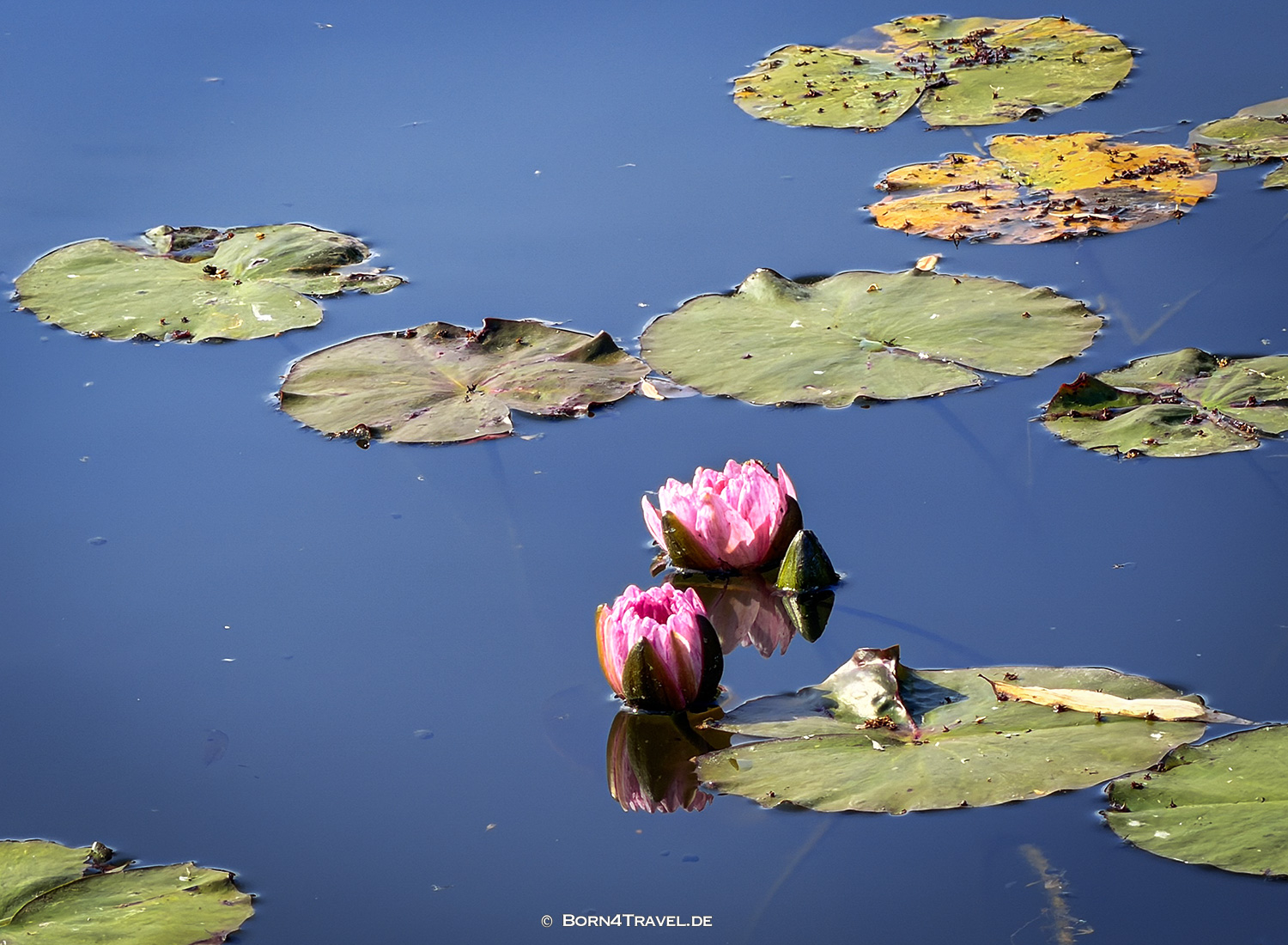 Three Pools Mirroring the Moon,West Lake,Hangzhou,China2026,born4travel.de
