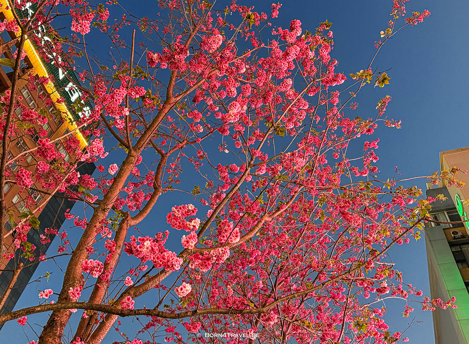Nanping Street,Kunming,Yunnan,China2026,born4travel.de