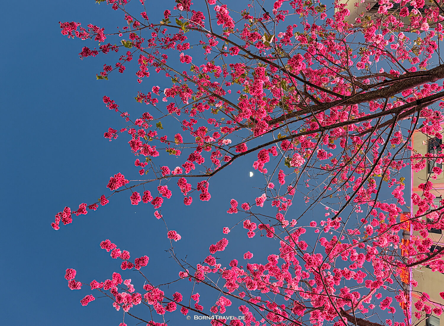 Nanping Street,Kunming,Yunnan,China2026,born4travel.de