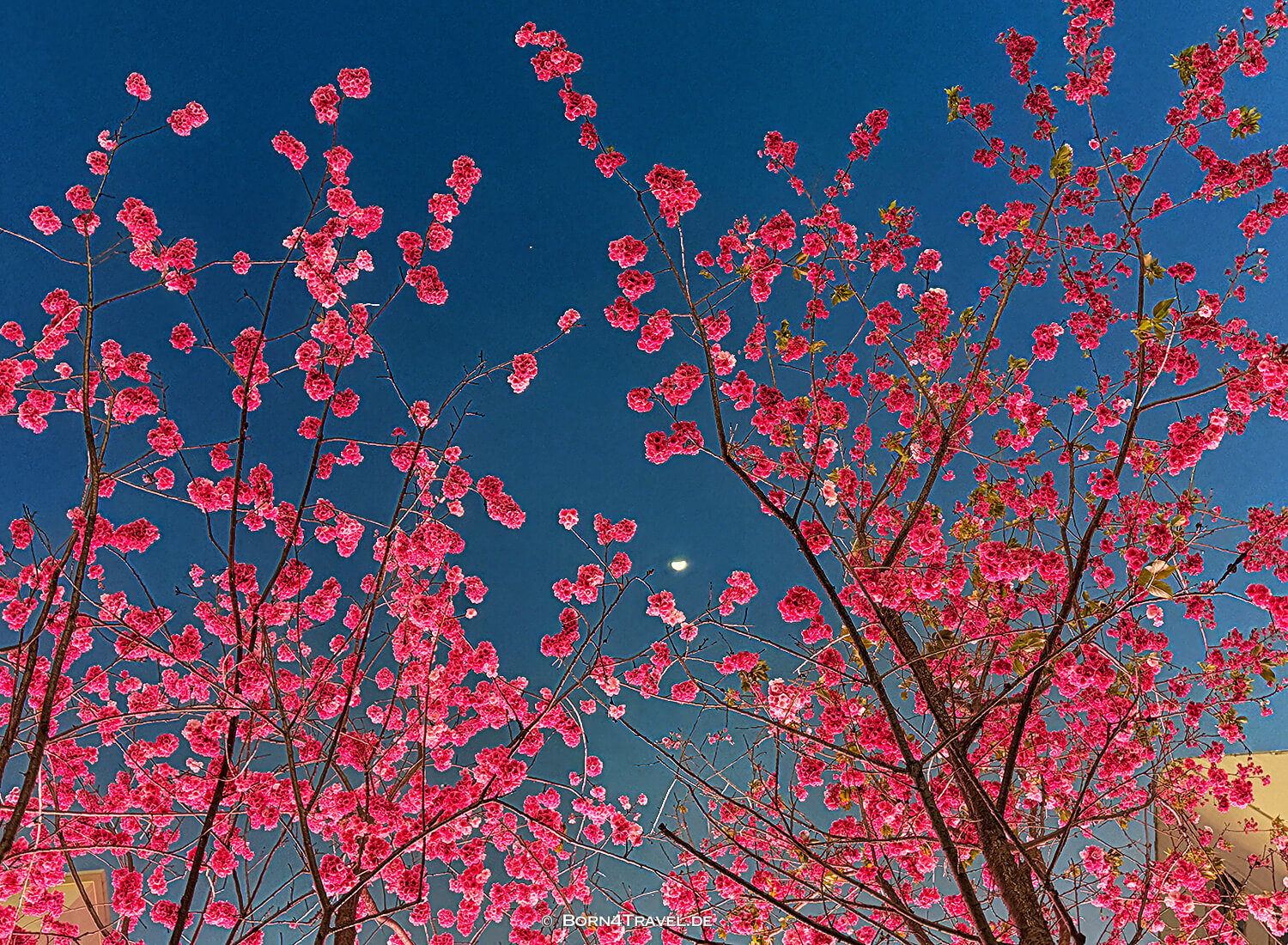 Nanping Street,Kunming,Yunnan,China2026,born4travel.de