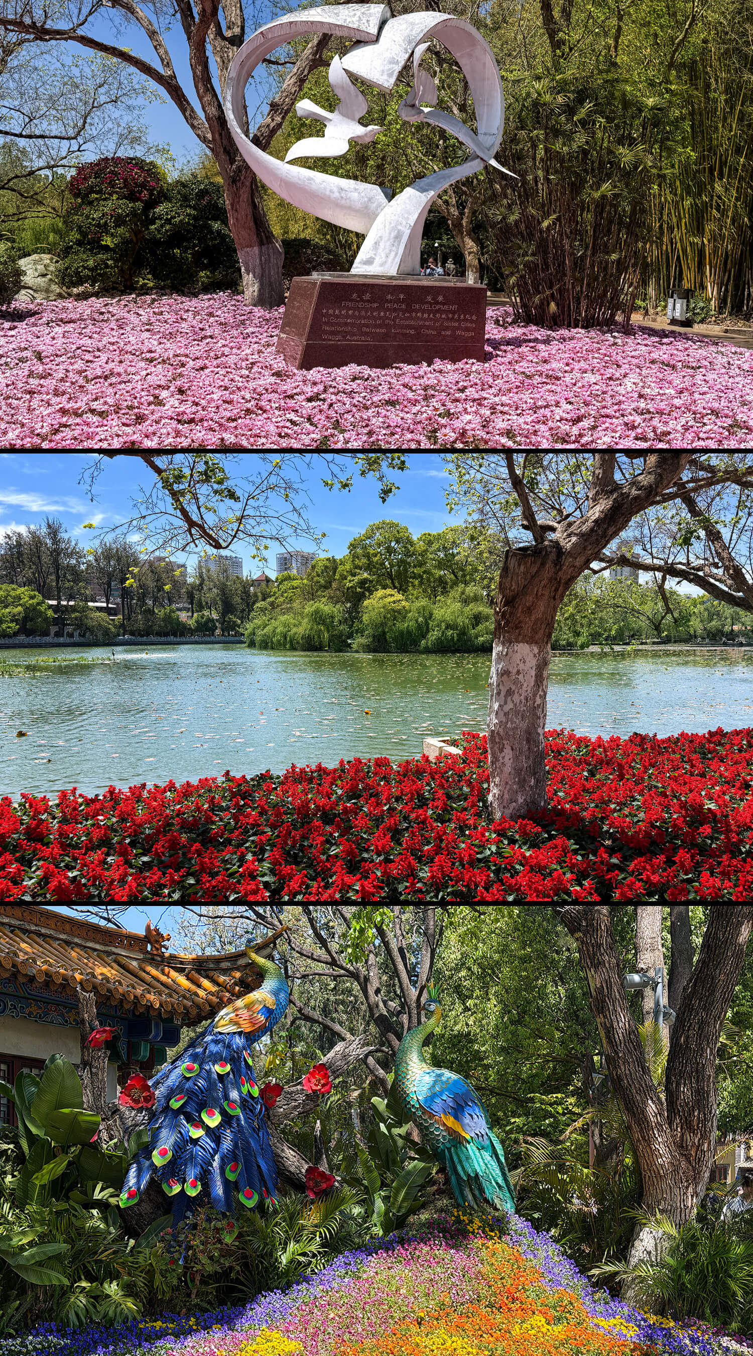 Green Lake im Cuihu Park,Kunming,Yunnan,China2026,born4travel.de