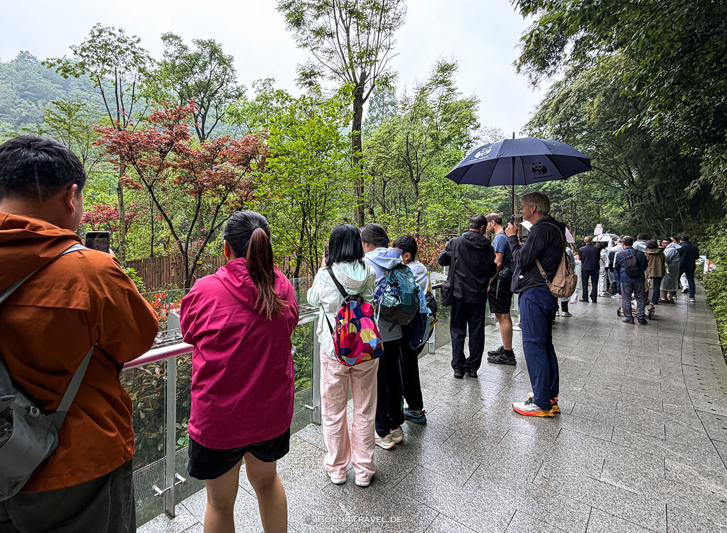 Dujiangyan Panda Park,Panda Valley, Chengdu,China2026,born4travel.de