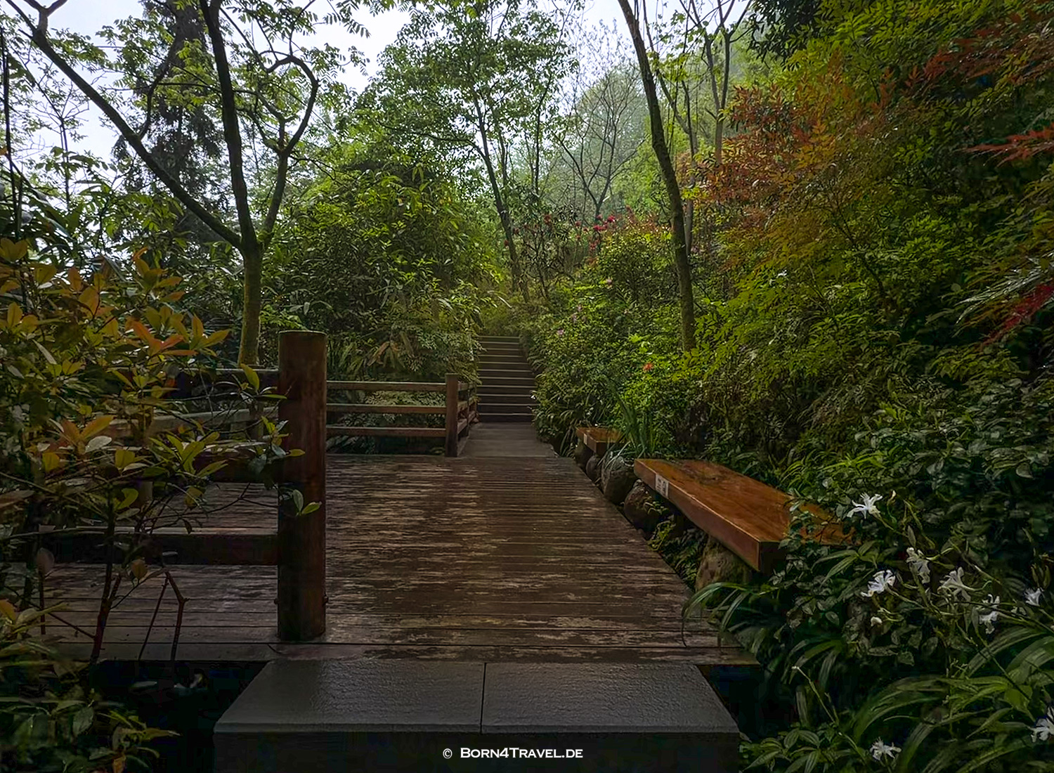 Sansheng Tempel,Dujiangyan Panda Park,Panda Valley, Chengdu,China2026,born4travel.de