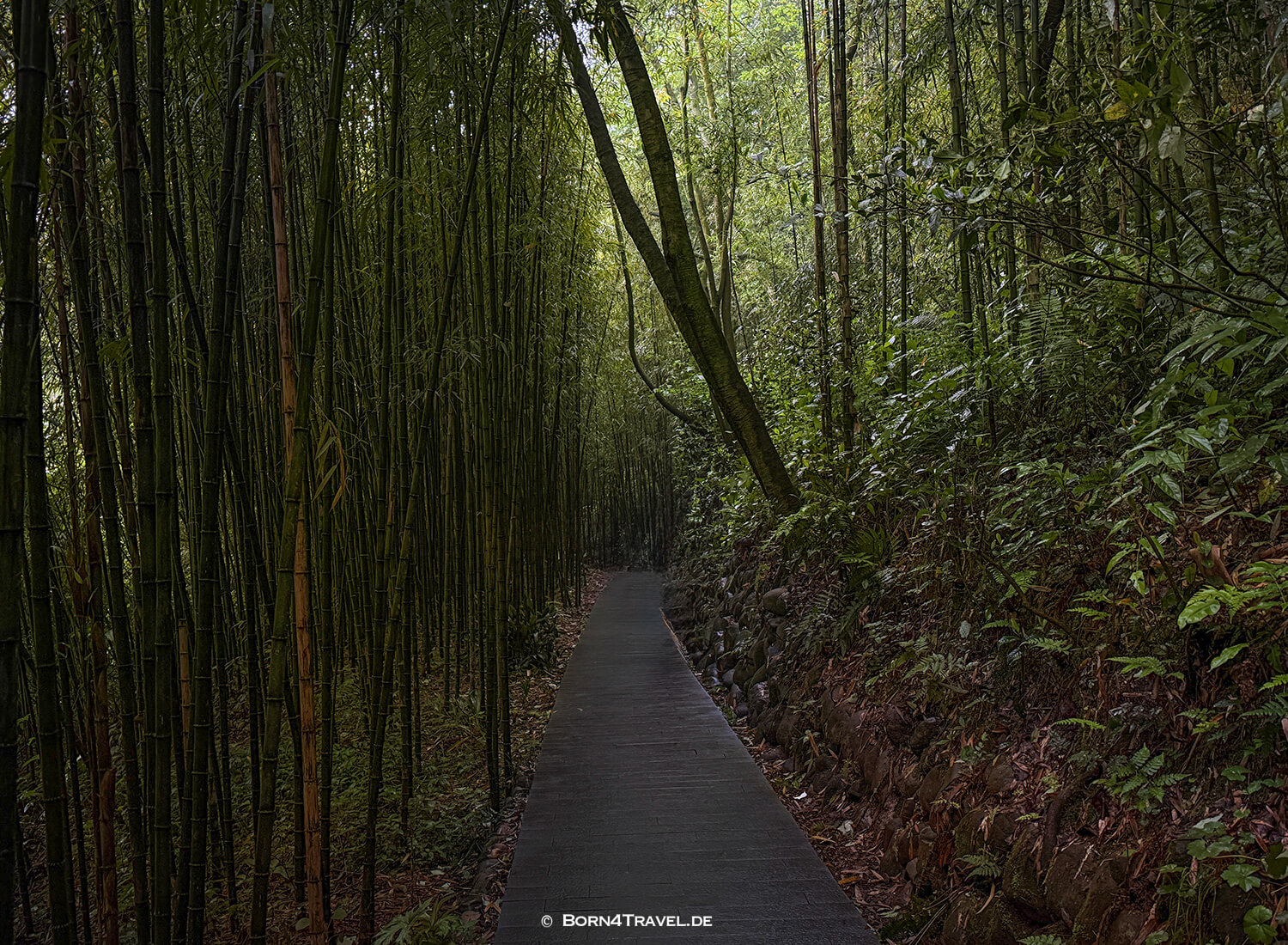 Sansheng Tempel,Dujiangyan Panda Park,Panda Valley, Chengdu,China2026,born4travel.de