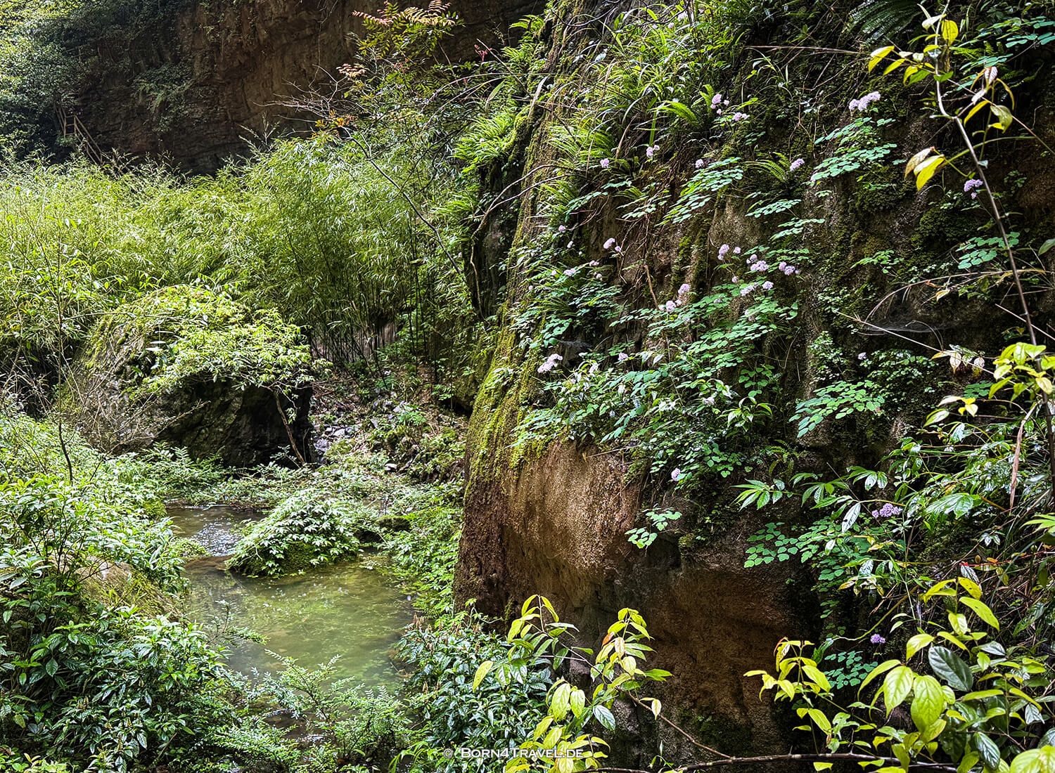 Three Natural Bridges (天生三桥) im Wulong-Karstgebiet.,China2026,born4travel.de