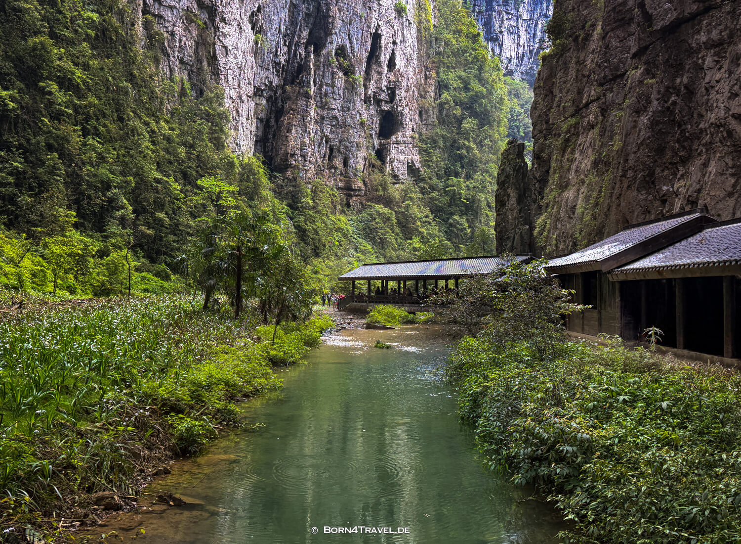 Three Natural Bridges (天生三桥) im Wulong-Karstgebiet.,China2026,born4travel.de