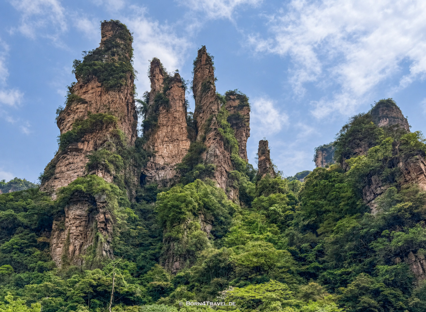 Bailong Elevato im ZhangjiajieChina2026,born4travel.de