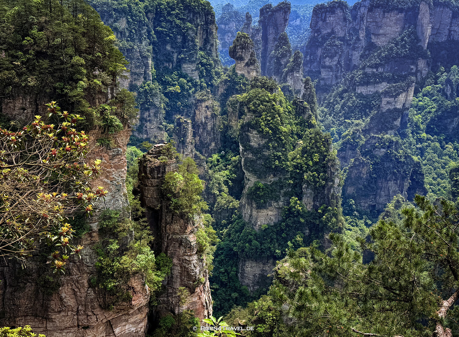 Yuanjiajie Scenic Area< im ZhangjiajieChina2026,born4travel.de
