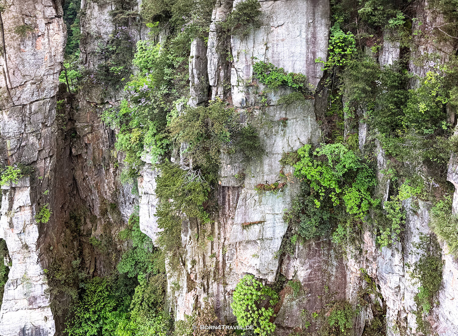 Tianzi-Mountain-Seilbahn,Zhangjiajie National Forest Park,China2026,born4travel.de