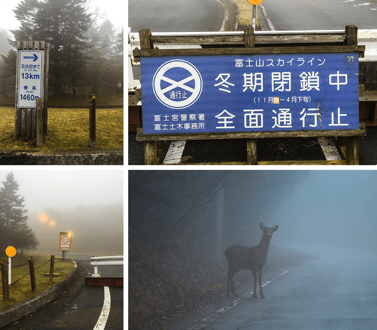 koyo,autumn leaves, Japan, born4travel.de koyo,autumn leaves,Japan, born4travel.de