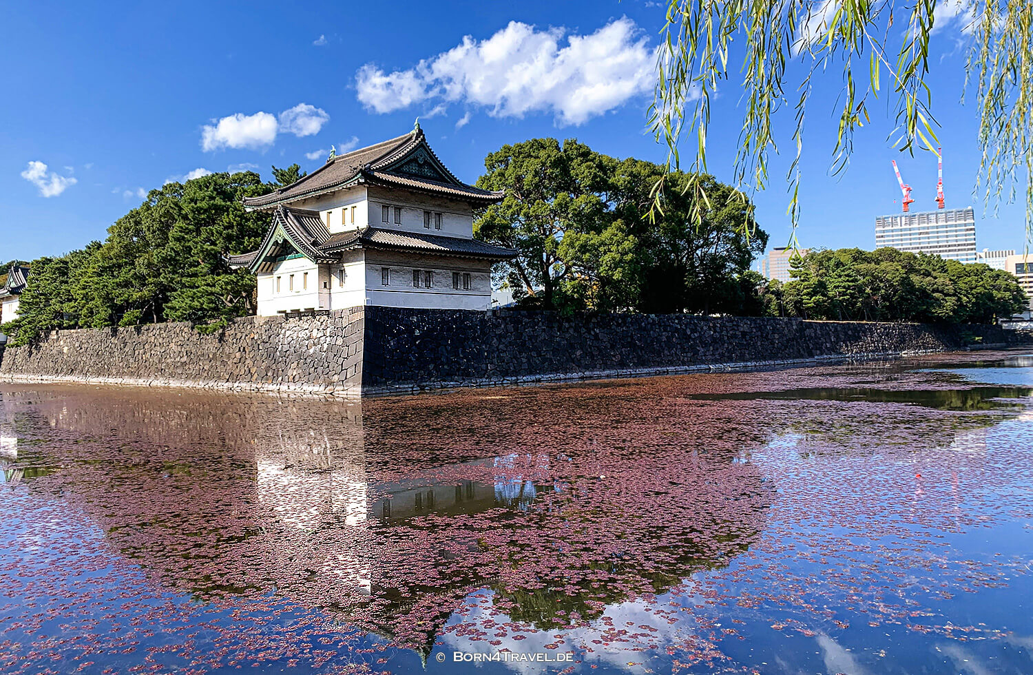 Kaiserpalast - Imperial Palace Tokyo by bike 2019,born4travel.de