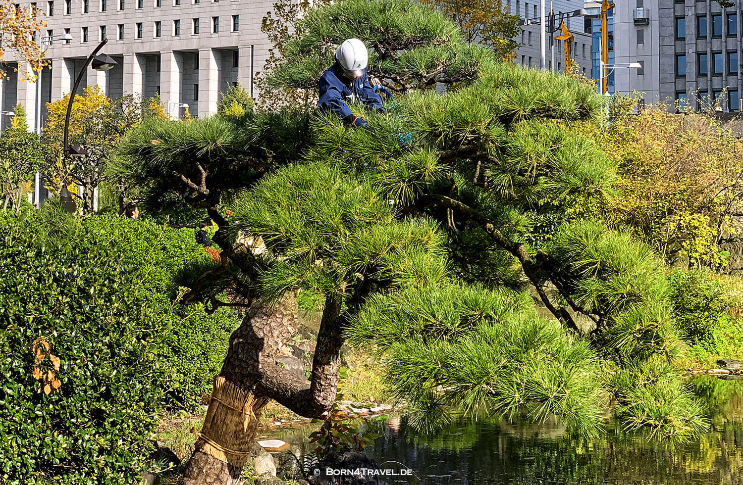 Hibiya Park in Tokyo by bike 2019,born4travel.de Hibiya Park in Tokyo by bike 2019,born4travel.de