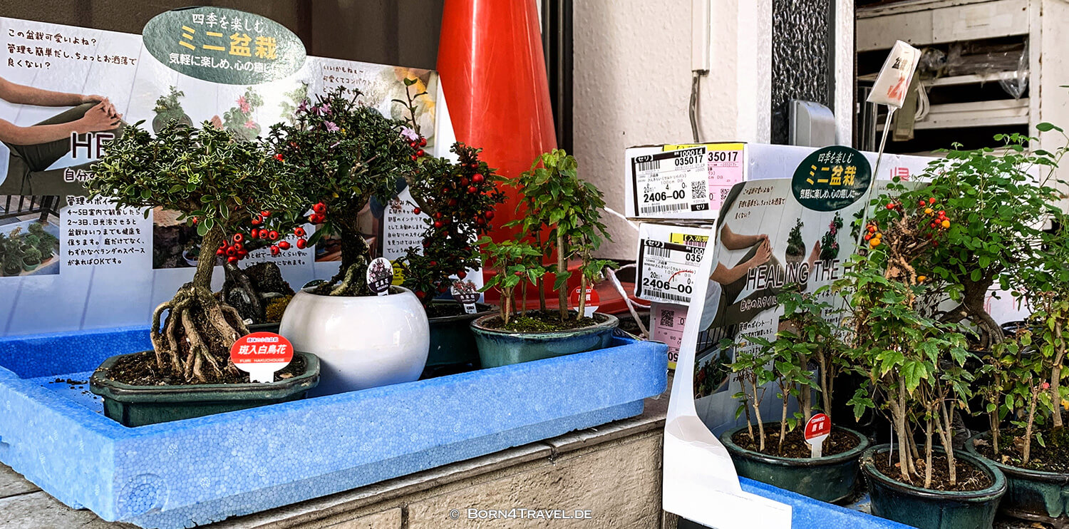 Akasaka Mitsuke,Tokyo by bike 2019,born4travel.de