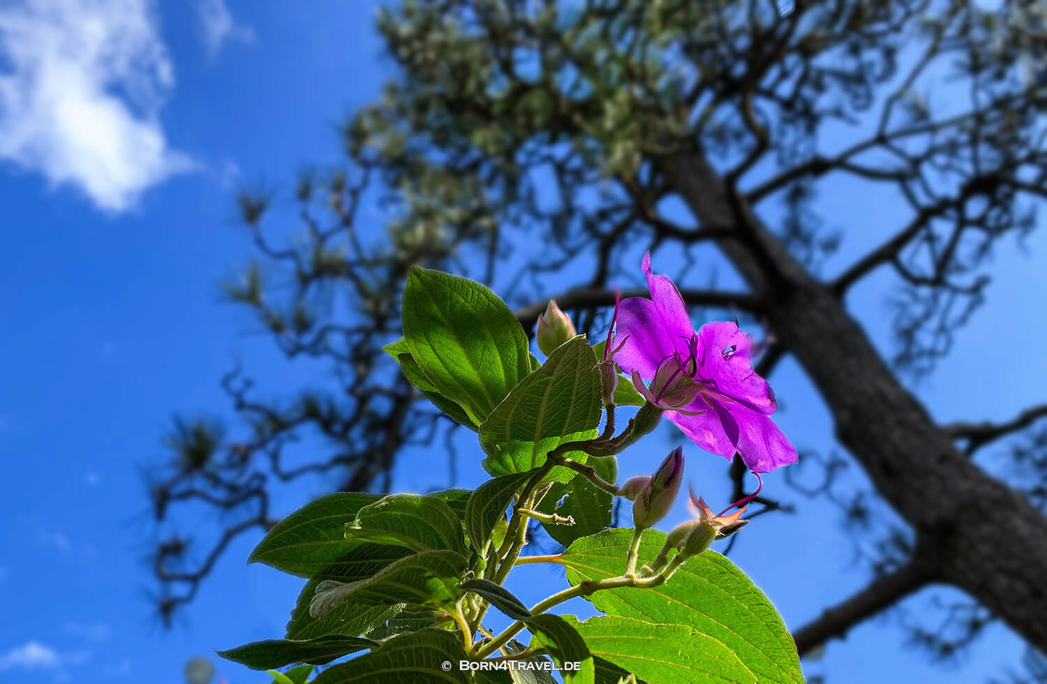 Hotel New Otani Tokyo Garden Tower,Tokyo by bike 2019,born4travel.de