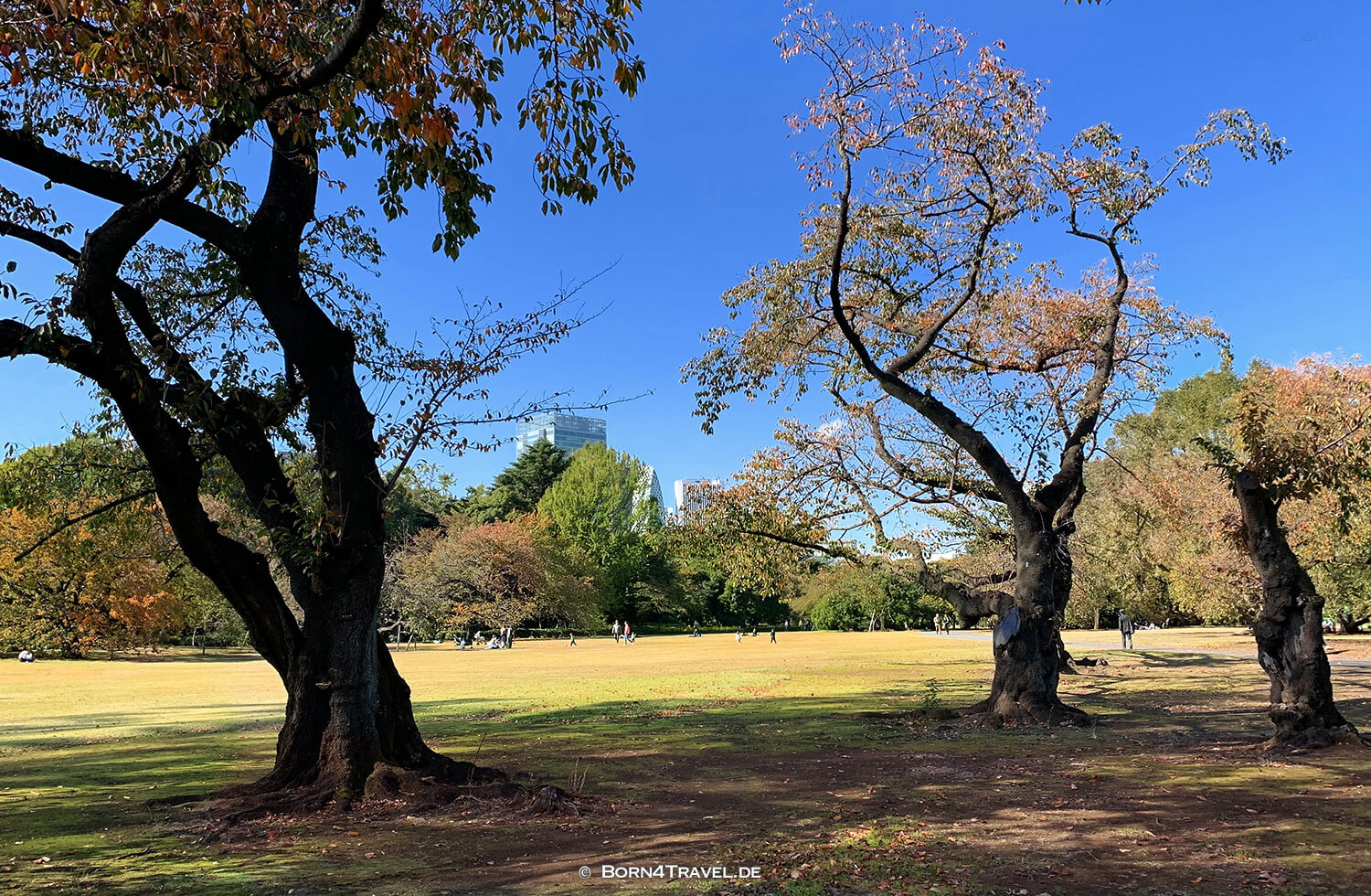 Shinjuku Garden,Tokyo by bike 2019,born4travel.de