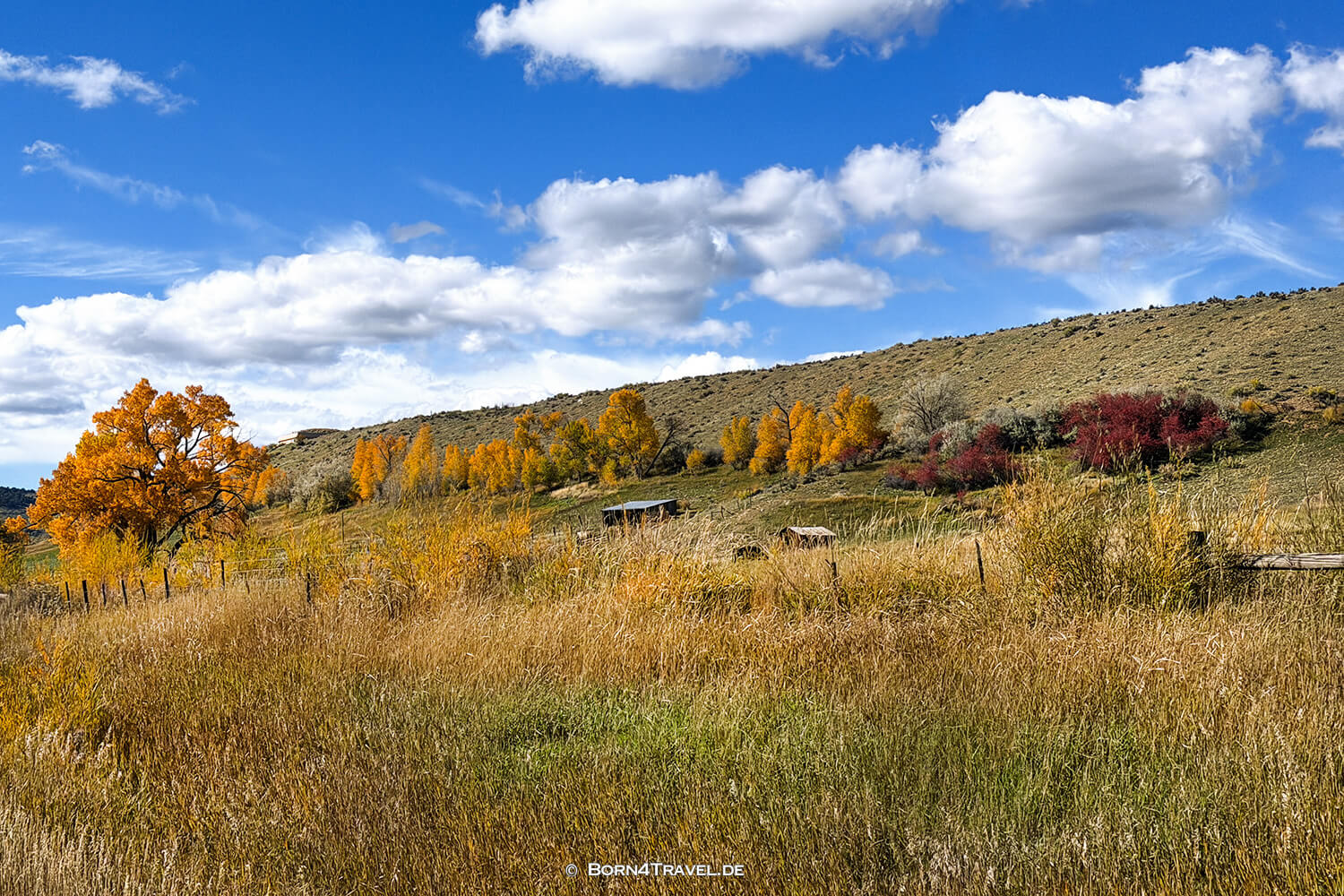  Colorado,USA2025,born4travel.de
