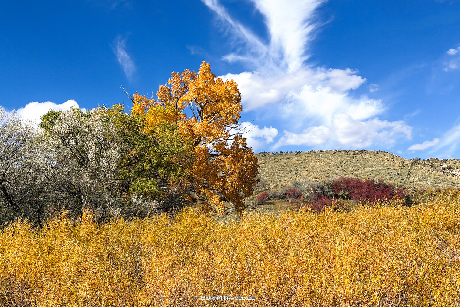  Colorado,USA2025,born4travel.de