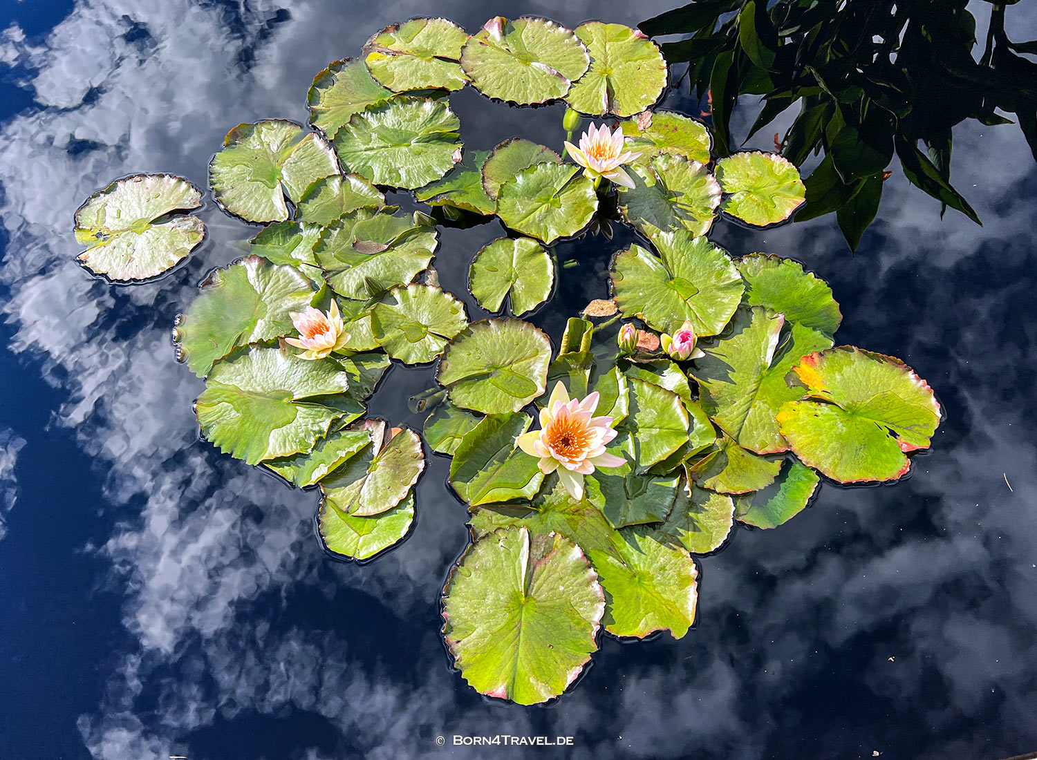 Denver Botanic Garden,Denver Colorado,USA 2025,born4travel.de