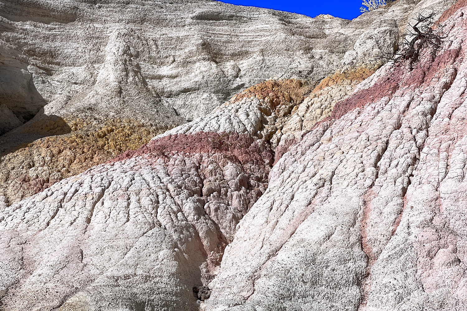 Paint Mine Interpretiv Park, Colorado,USA 2025,born4travel.de