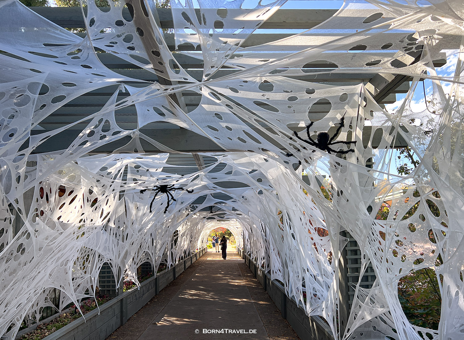 Denver Botanic Garden,Denver Colorado,USA 2025,born4travel.de