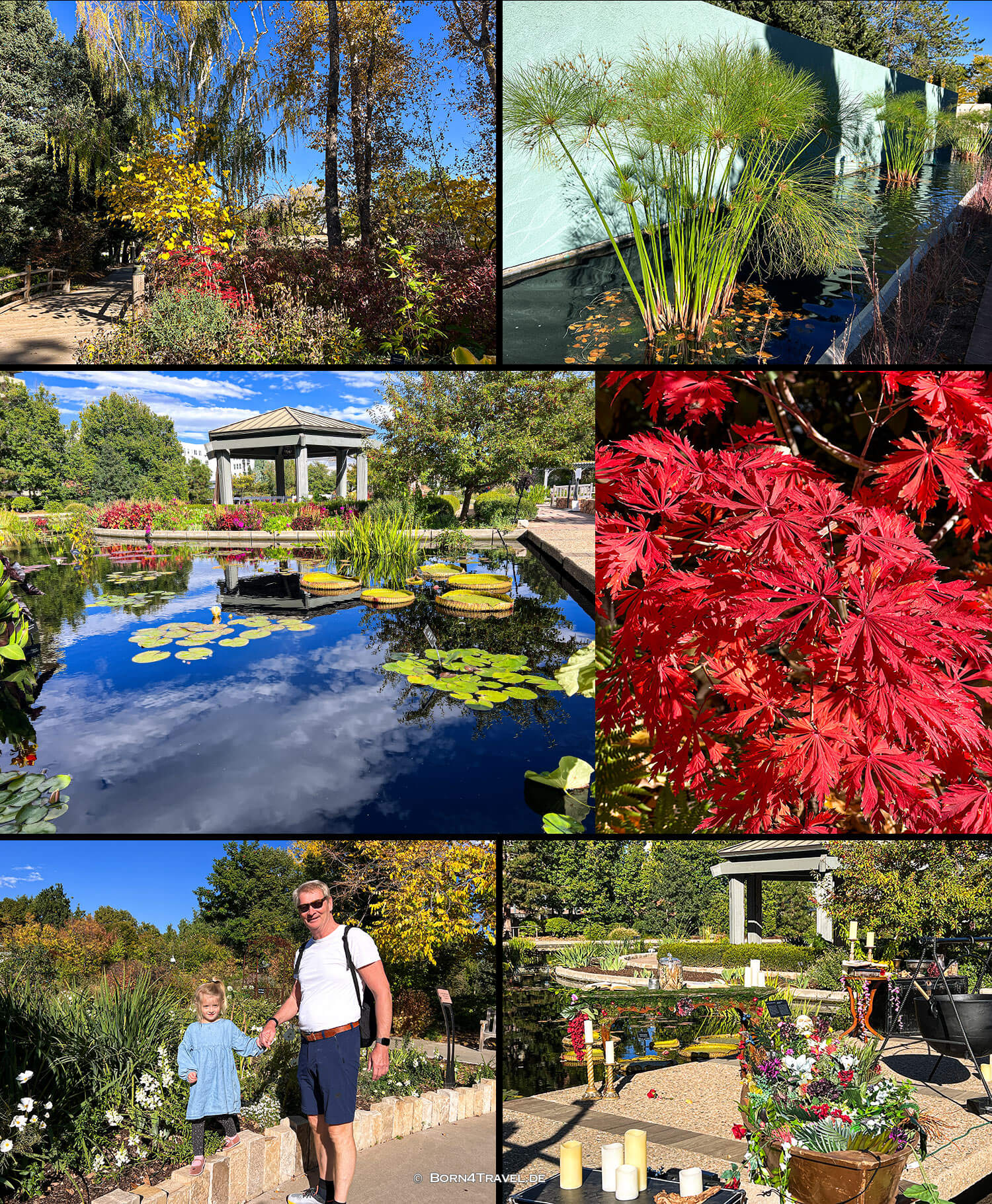 Denver Botanic Garden,Denver Colorado,USA 2025,born4travel.de