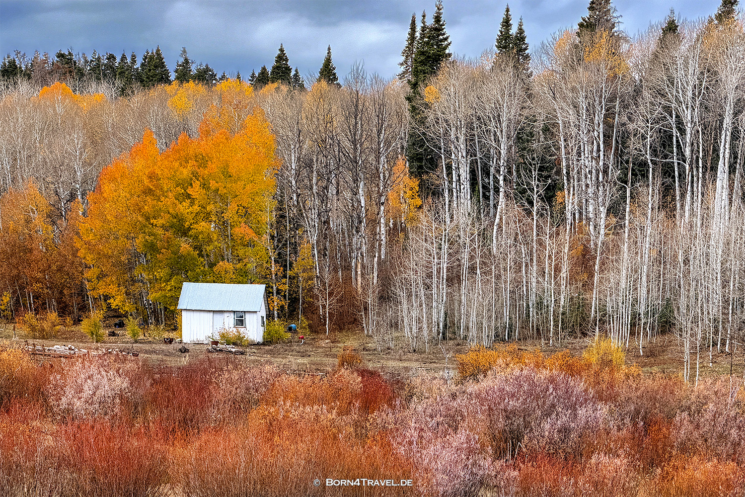 Nebo Loop,Utah,USA2025,born4travel.de