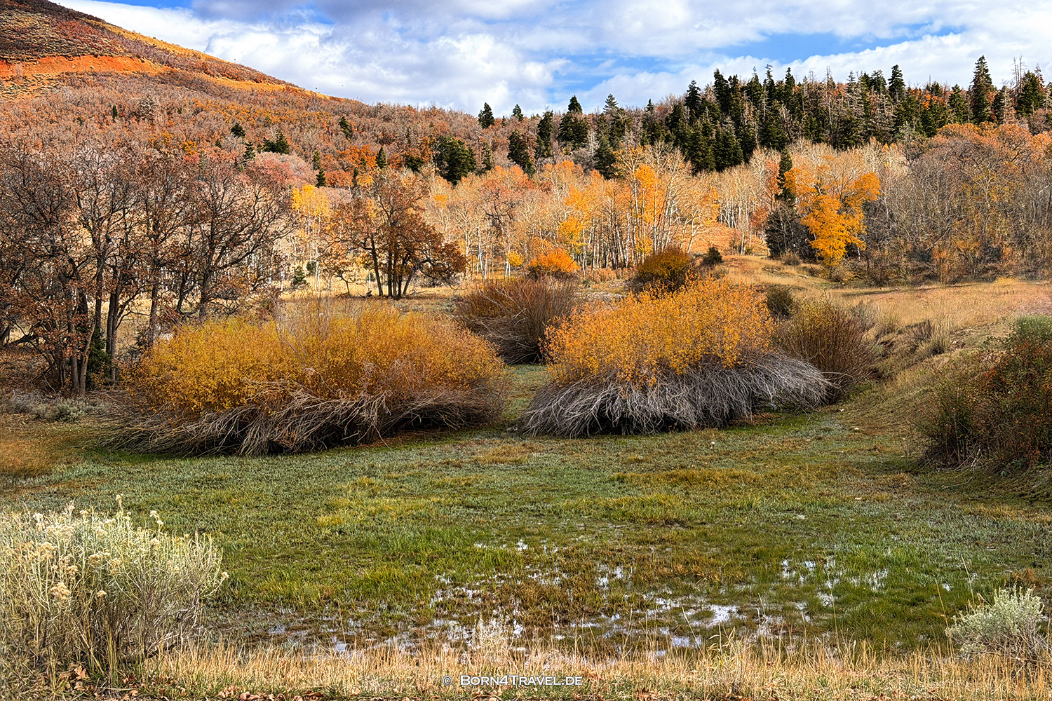 Nebo Loop,Utah,USA2025,born4travel.de